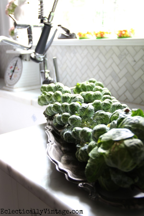 Brussels sprouts on their stalks eclecticallyvintage #EclecticallyFall