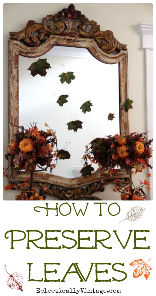 How to Preserve Leaves - perfect for crafts and decorating kellyelko.com