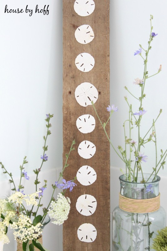 How cute - sand dollar art on a rustic piece of wood kellyelko.com