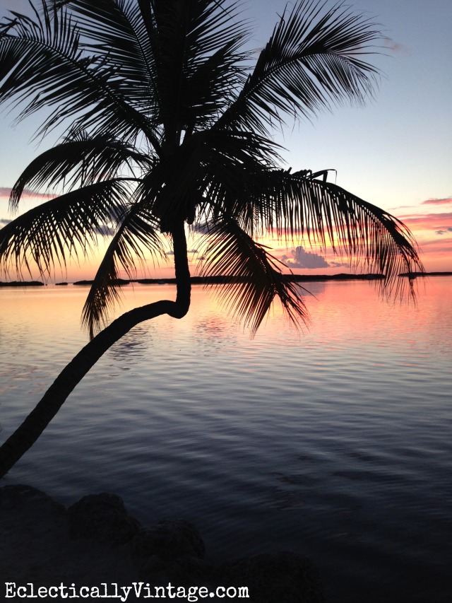 Palm tree sunset in the Florida Keys kellyelko.com