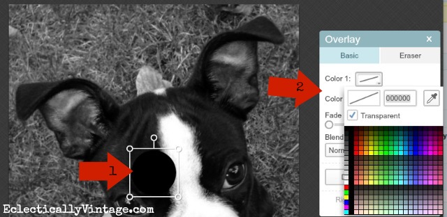Picmonkey Tutorial - create fun overlays on your pet's photos kellyelko.com