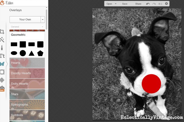 Picmonkey Tutorial - turn your pet's photo into Rudolph the red nosed reindeer! kellyelko.com