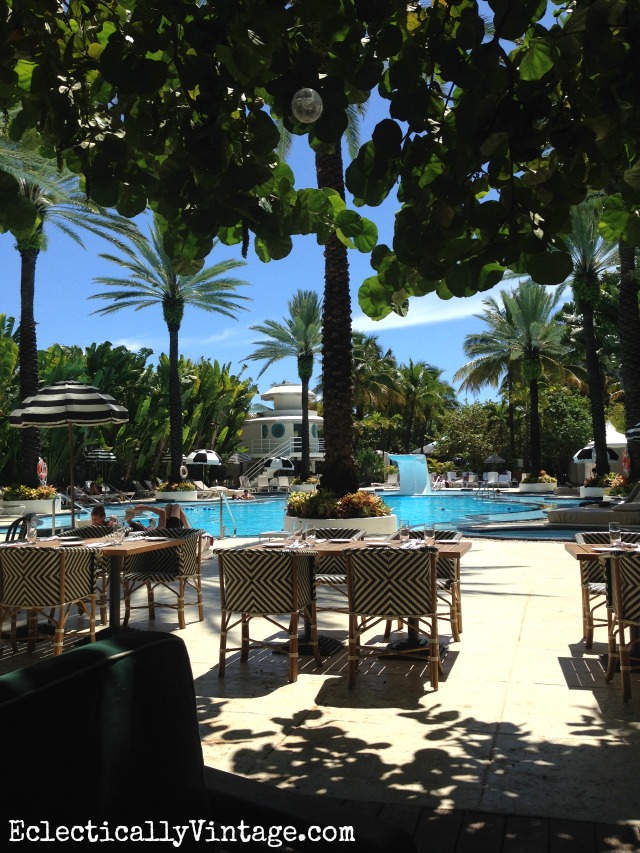 Raleigh South Beach - love the banyan tree in the poolside restaurant kellyelko.com