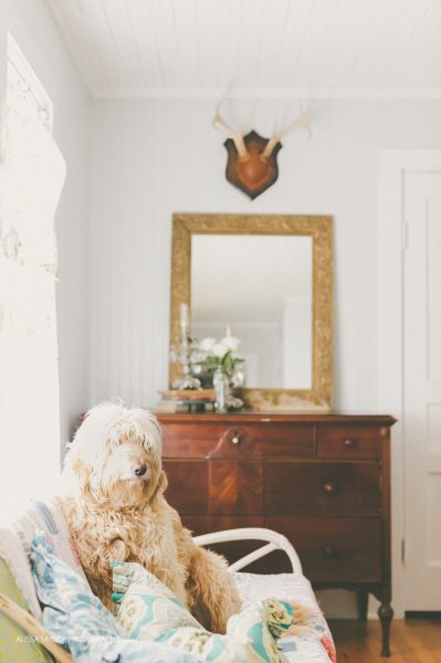 Love the dark vintage chest of drawers against the white beadboard walls kellyelko.com