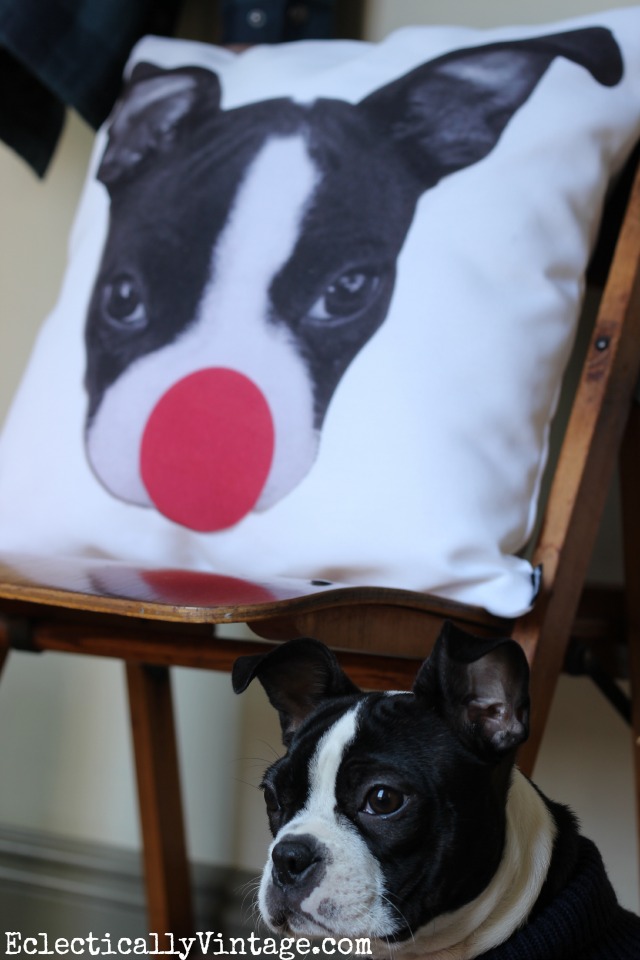 This Boston Terrier Christmas Rudolph the red nose reindeer pillow is so cute! kellyelko.com