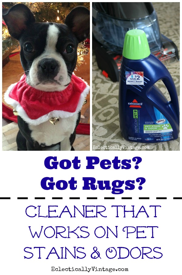 Pet Rug Cleaner - gets rid of stains and odors kellyelko.com