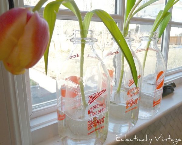 Want Clean Glass Milk Bottles? Here's How: - by Sally Oh