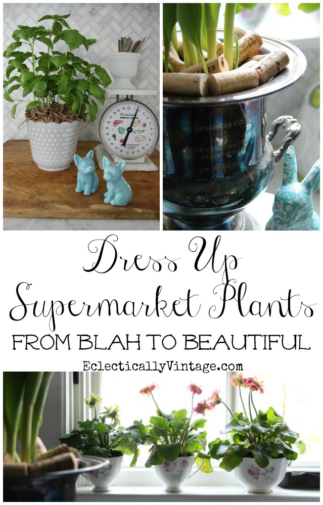 Great tips on how to dress up supermarket plants!  kellyelko.com