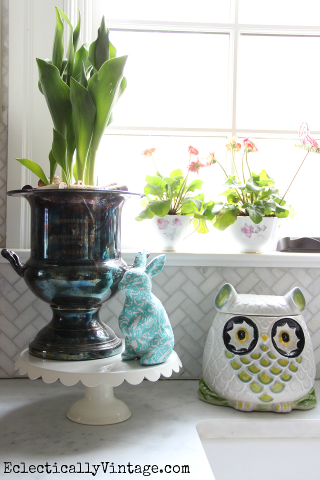 Kitchen-Windowsill-Flowers