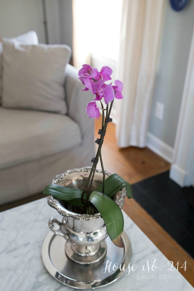 Orchid in a silver bucket kellyelko.com