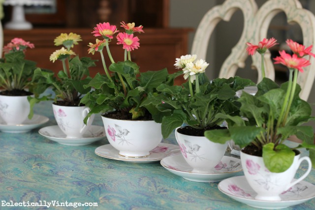 Vintage tea cup planter centerpiece - perfect for Mother's Day, Easter or any spring party kellyelko.com