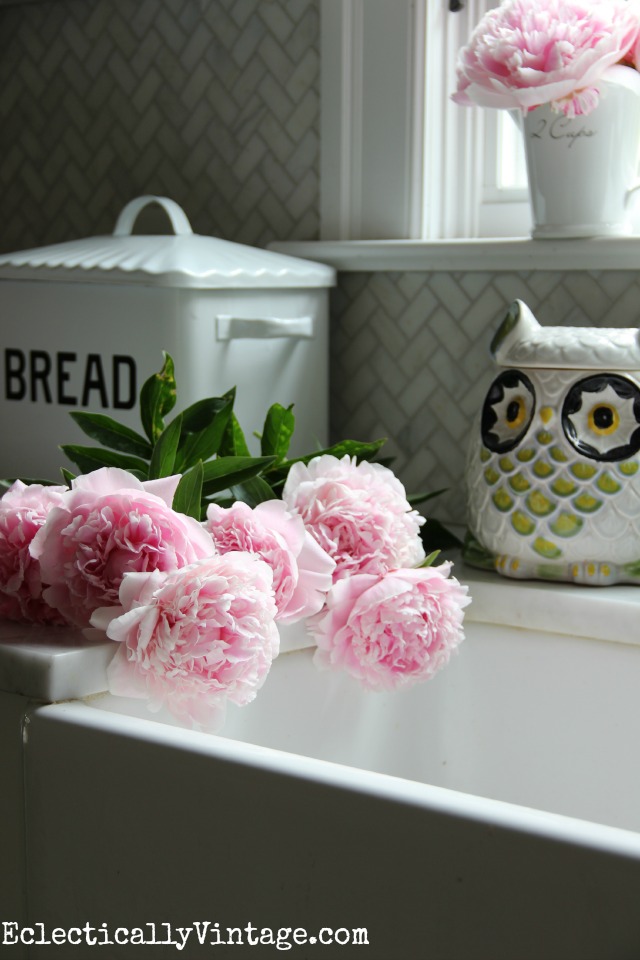 There is nothing better than a house filled with freshly cut peonies! Love these great peony growing tips and tricks kellyelko.com
