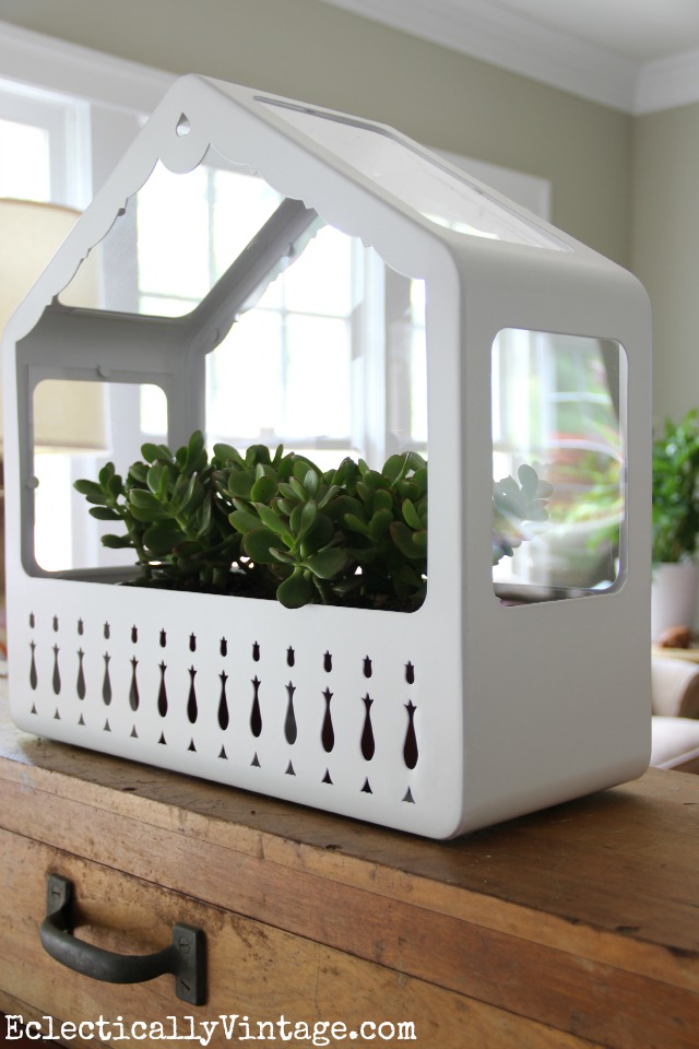 Love this cute little Ikea house terrarium kellyelko.com