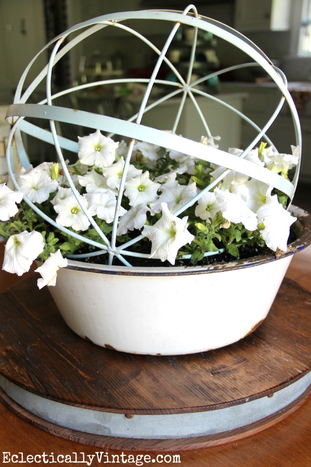 Love this orb planter filled with petunias kellyelko.com