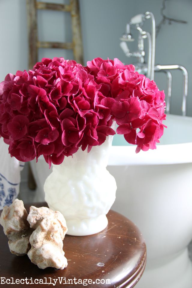 These fuscia hydrangeas are such an incredible color! kellyelko.com