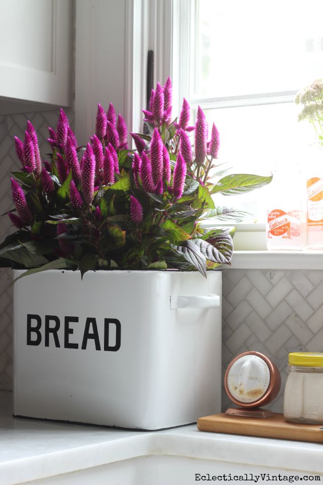 Bread box planter kellyelko.com