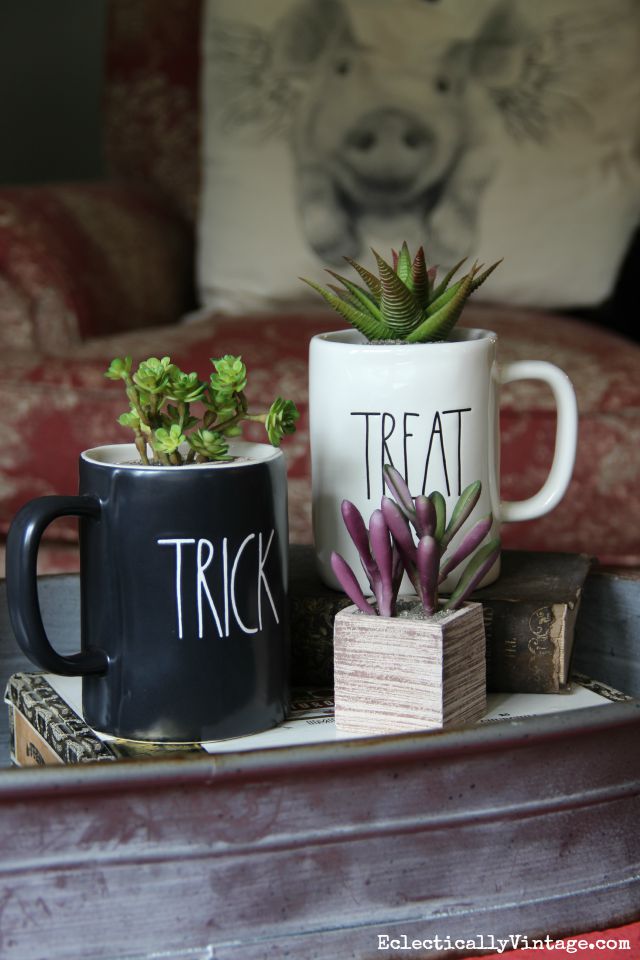 Halloween mugs filled with succulents kellyelko.com