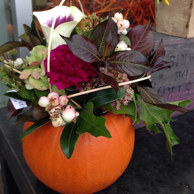 Pumpkin planter - what a fun idea for fall! kellyelko.com