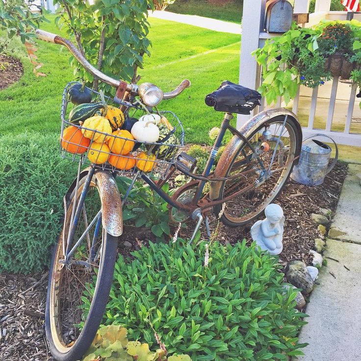 Vintage bike in the garden for fall - love the basket filled with pumpkins and gourds kellyelko.com