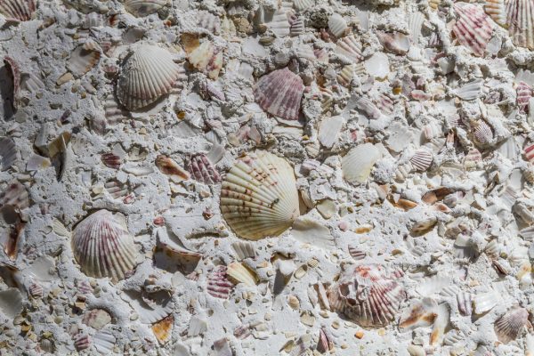 Close up of the tabby shell stucco fireplace - perfect in a coastal home - take the tour to see more kellyelko.com