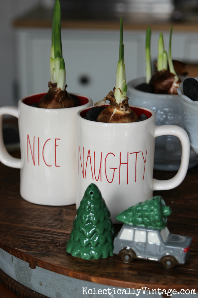 Love the naughty and nice Christmas mugs filled with paperwhites and how fun is that car and tree salt & pepper set! kellyelko.com