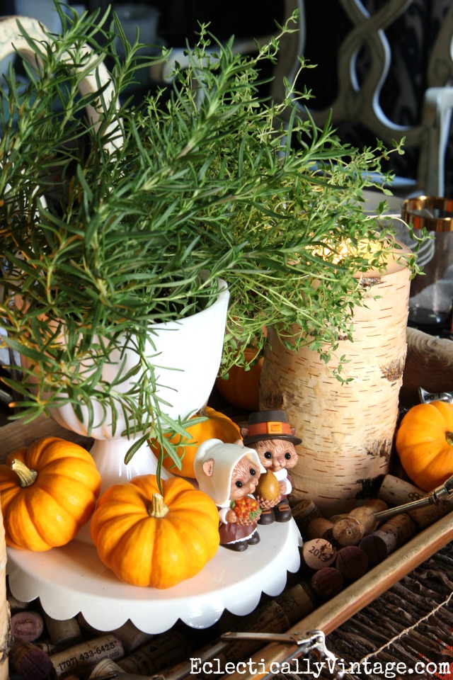 Use herbs as a simple fall centerpiece and  mini pumpkins for color kellyelko.com