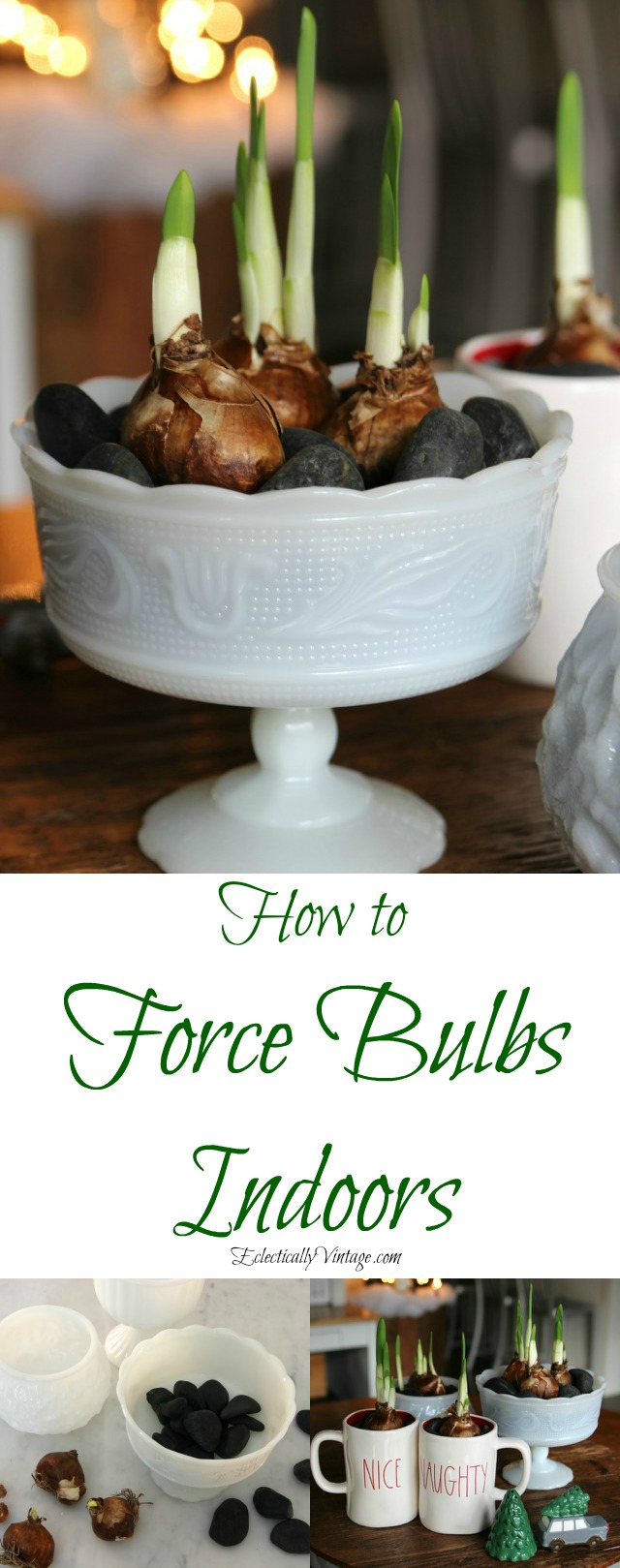 How to force bulbs indoors - perfect for Christmas and this centerpiece using different containers is gorgeous! kellyelko.com