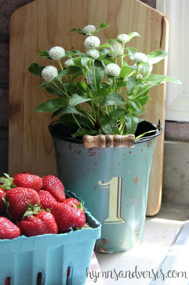 Berries and flowers in the kitchen kellyelko.com