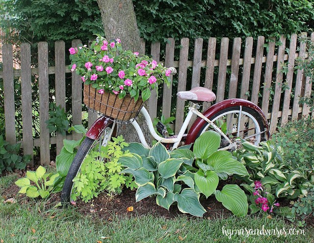 Old Schwinn bike in the garden kellyelko.com