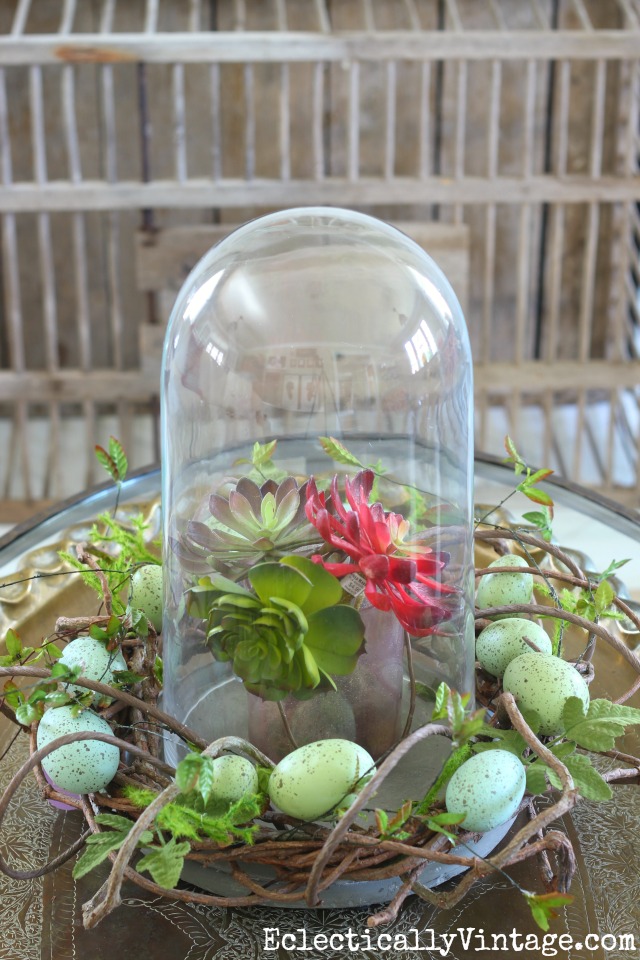 Spring cloche with an egg wreath and succulents kellyelko.com