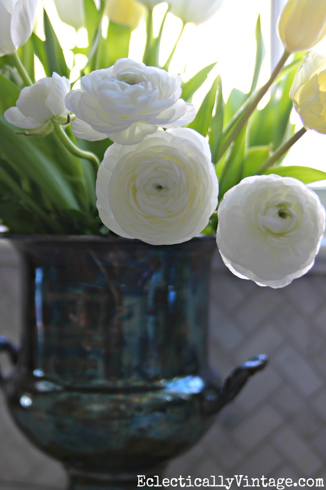 White ranunculus kellyelko.com 