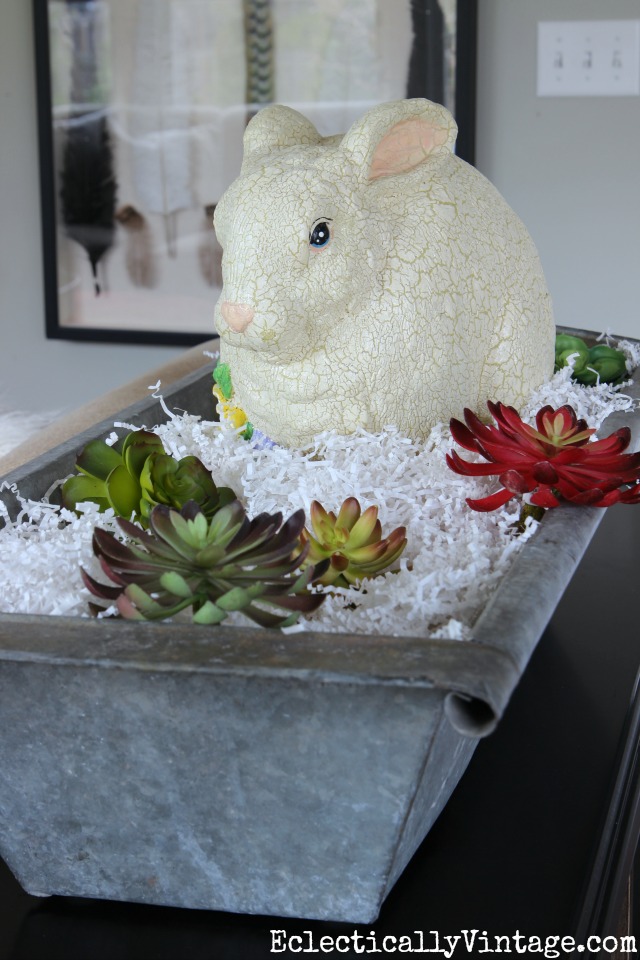 Shredded paper makes a cute nest for succulents and an Easter bunny kellyelko.com