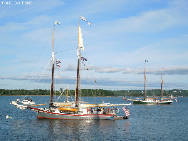 Castine Maine harbor kellyelko.com