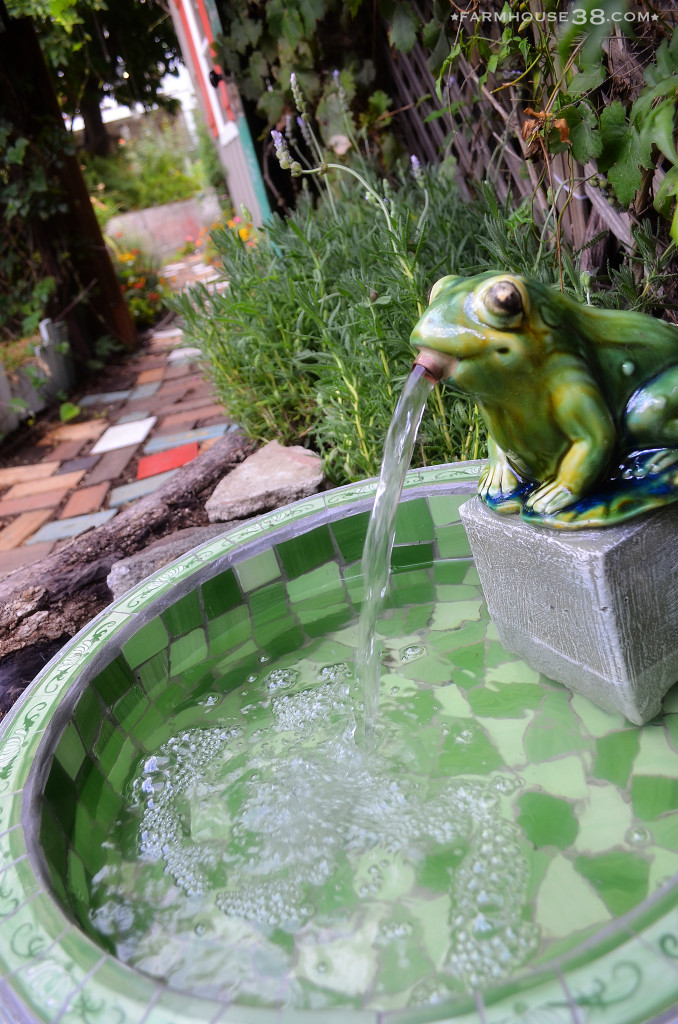 Whimsical frog fountain kellyelko.com