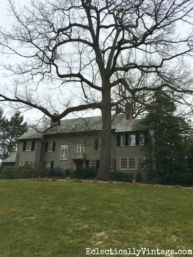 Love this old house with the giant tree kellyelko.com