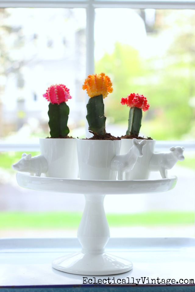 Colorful cacti centerpiece - love the little animal planters and she has great tips on growing these cute little cactus plants kellyelko.com