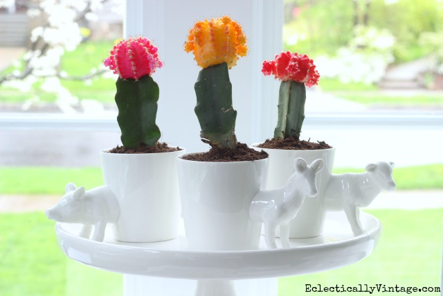 Colorful cactus planters - how cute are the little animal planters! kellyelko.com