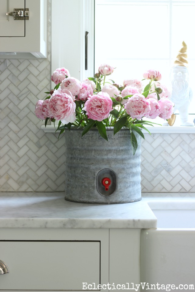 Learn when to cut peonies so you get a lasting indoor bouquet - love this one in a vintage galvanized cooler kellyelko.com