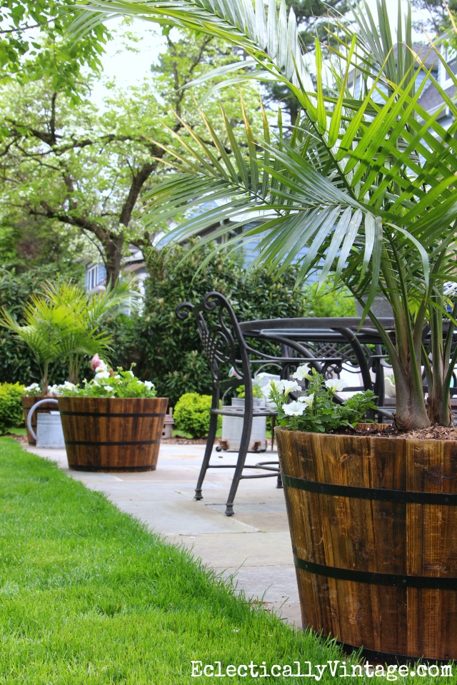 Love these giant whiskey barrel planters filled with palm trees - three lined up on a patio really define the space kellyelko.com