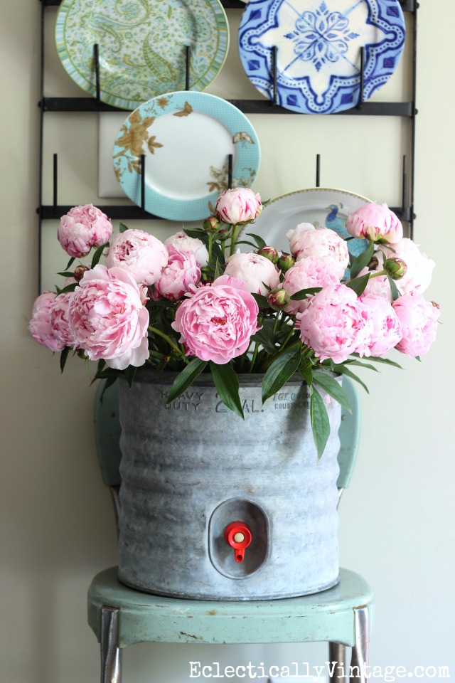 Love these gorgeous pink peonies in a vintage galvanized water cooler kellyelko.com