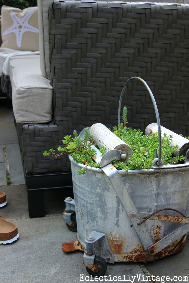 Love this old mop bucket planted with succulents kellyelko.com