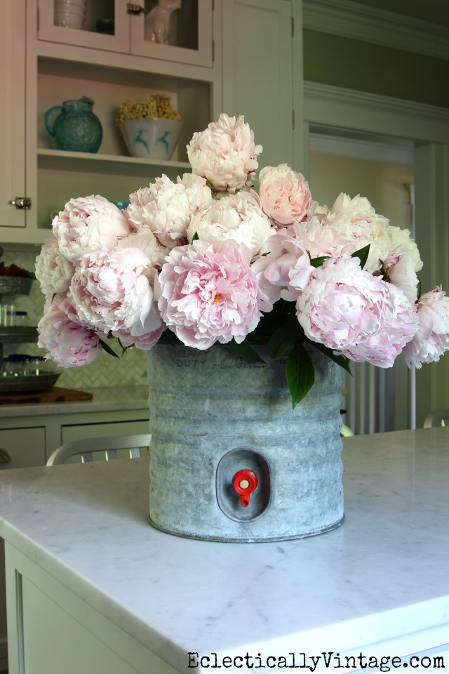 Pink peonies in a vintage galvanized water cooler! She's got greta tips for growing these beauties kellyelko.com