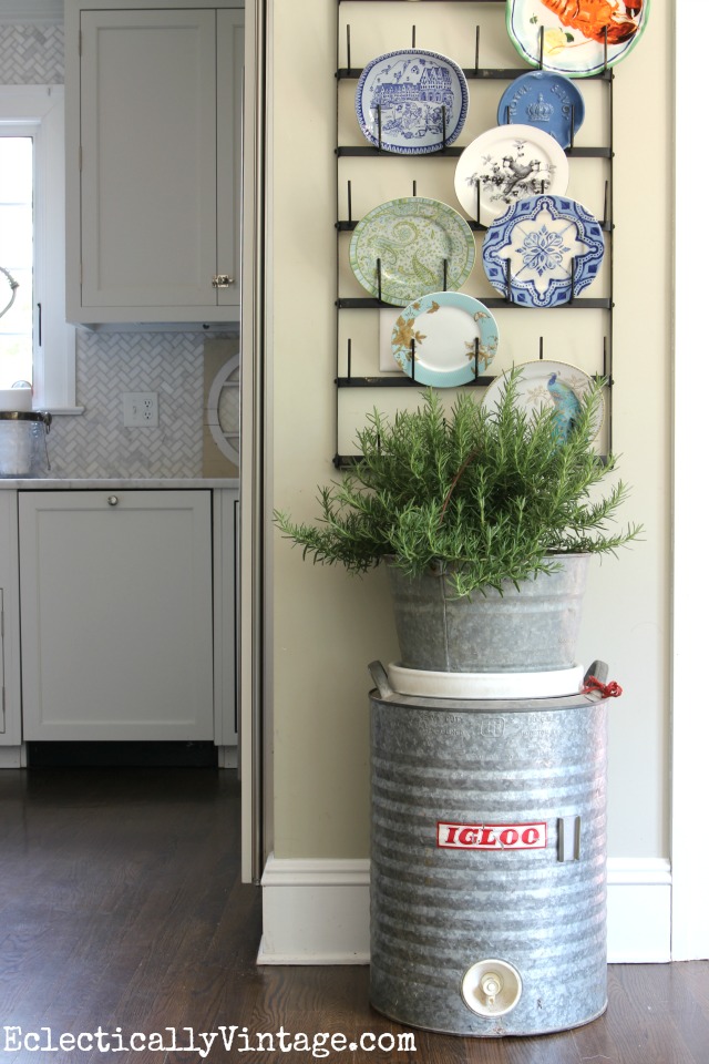 Love this vintage galvanized Igloo cooler used as a plant stand! kellyelko.com