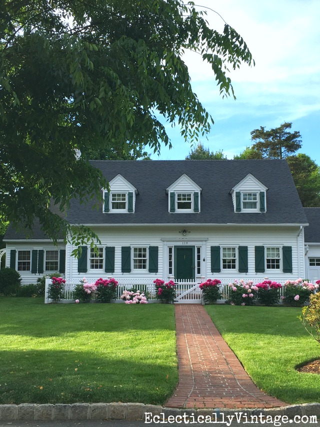 Love the row of peonies planted in front of this cape cod home kellyelko.com