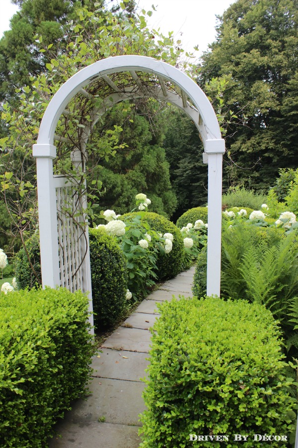Love this arbor leading to the garden filled with hydrangeas kellyelko.com