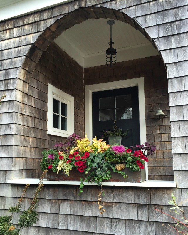 Early fall window box - mix kale with summer blooms kellyelko.com