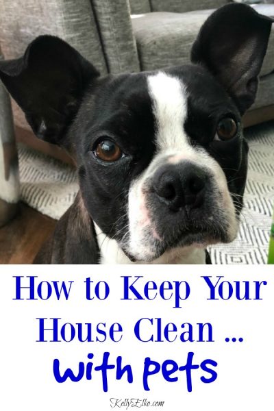 How to Have a Clean House with Pets - Kelly Elko