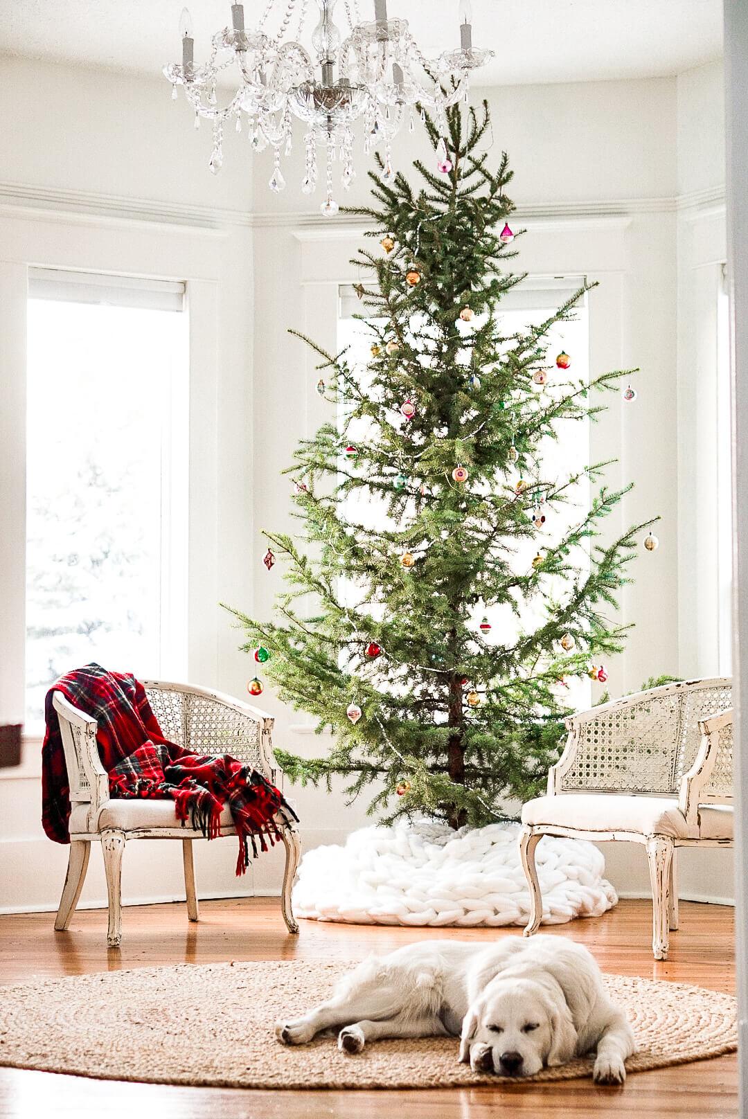 Step-by-Step how to decorate a real christmas tree Tips for the Perfect ...
