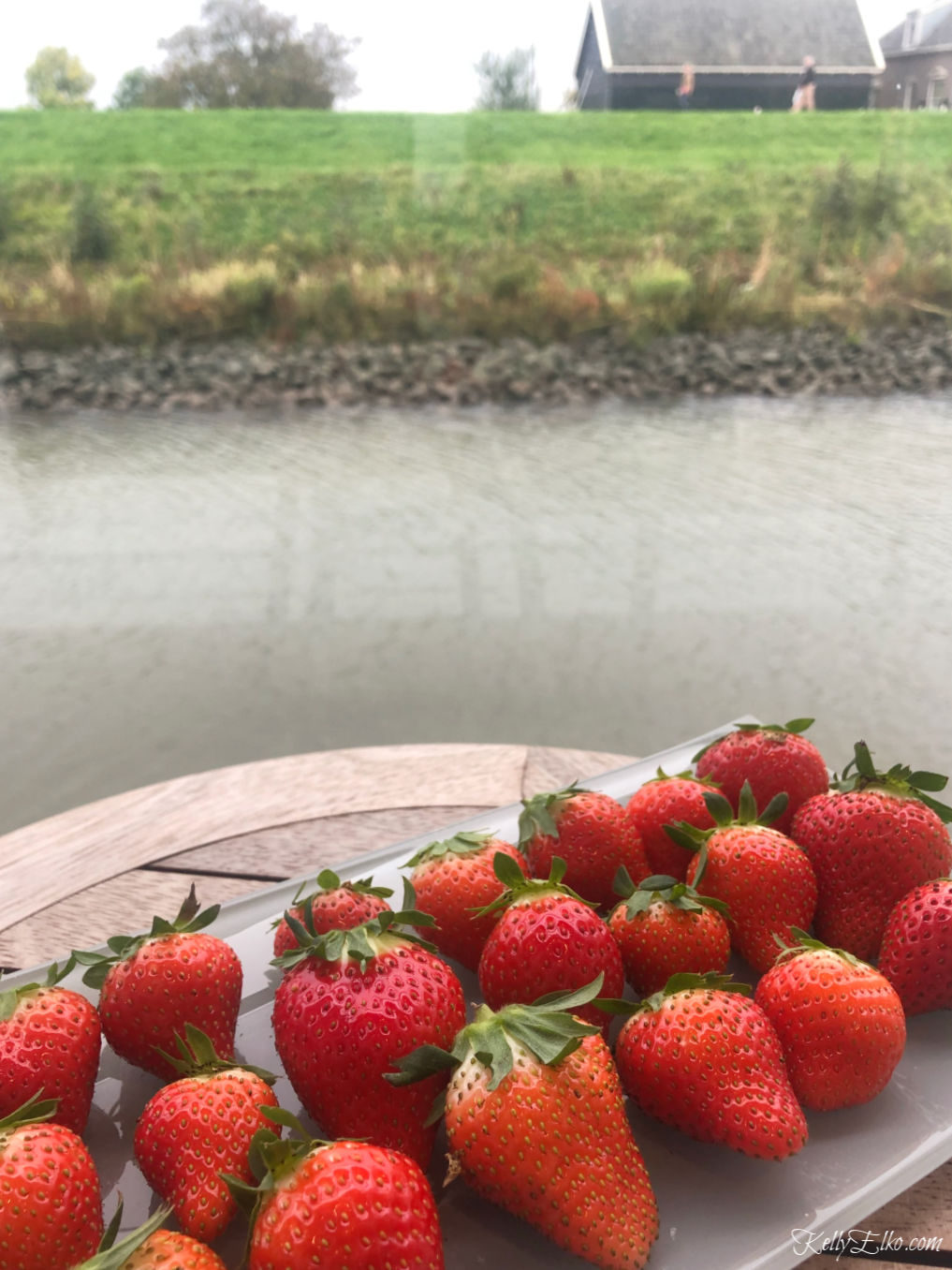 Fresh strawberries on a river cruise kellyelko.com 